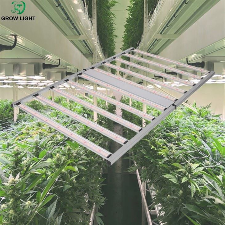 1000 Watt LED Grow Lamps