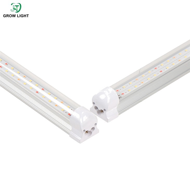 Growing Vegetables With LED Lights