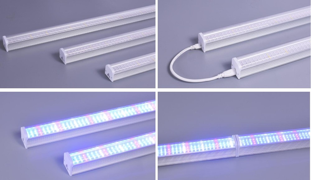 T8 Tubes