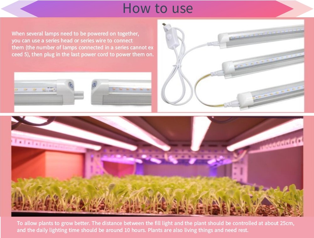 T8 Tube